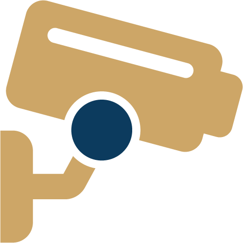Wall-mounted security camera icon representing OnView video surveillance and camera security solutions.